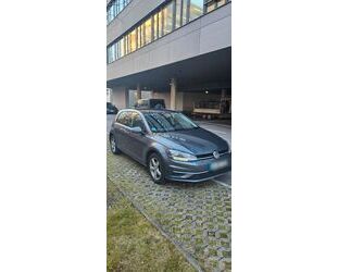 VW Volkswagen Golf VII 1.6 TDI SCR - PANO, Stand.Hz. Gebrauchtwagen