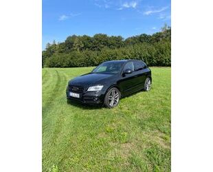 Audi Audi SQ5 3.0 TDI Plus Quattro Gebrauchtwagen