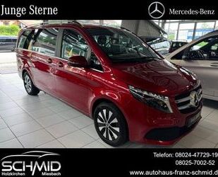 Mercedes-Benz Mercedes-Benz V 300 d AVA ED L 4matic PANO ABSTAND Gebrauchtwagen