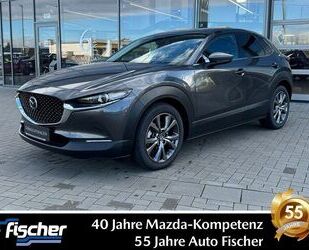 Mazda Mazda CX-30 2.0 (186PS) Autom. Des-P. Prem-P. Lede Gebrauchtwagen