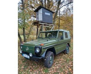 Mercedes-Benz Mercedes-Benz G 250 WOLF Gebrauchtwagen