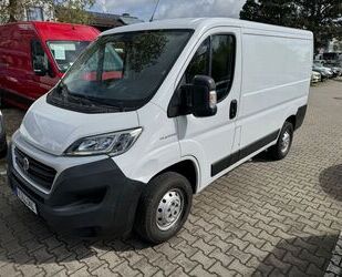 Fiat Fiat Ducato Kasten 30 115 L1H1 Klima 1Hand Gebrauchtwagen