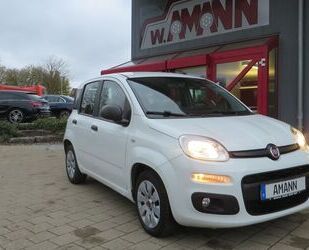 Fiat Fiat Panda Pop Klima AHK Gebrauchtwagen