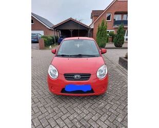 Kia Kia Picanto 1.1 Start Gebrauchtwagen