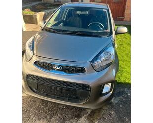 Kia Kia Picanto 1.2 Dream-Team Edition Gebrauchtwagen