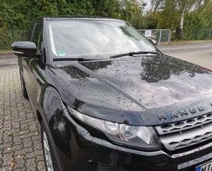 Land Rover Land Rover Range Rover Evoque 2.2 TD4 Pure Pure Gebrauchtwagen