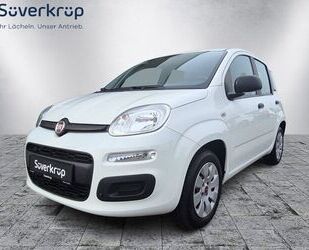 Fiat Fiat Panda 1.2 Pop *Klima* wenig KM Gebrauchtwagen