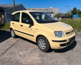 Fiat Panda Gebrauchtwagen