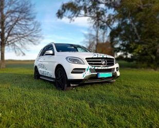 Mercedes-Benz Mercedes-Benz ML 350 BlueTEC 4MATIC - Gebrauchtwagen