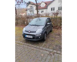 Fiat Fiat New Panda 1.2 8V LOUNGE LOUNGE Gebrauchtwagen