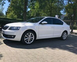 Skoda Skoda Octavia 2.0 TDI Green tec DSG Elegance Elega Gebrauchtwagen