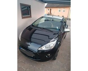 Ford Ford Ka 1,2 Black & White Sonderedition Gebrauchtwagen