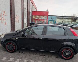 Fiat Fiat Punto 1.2 8V Dynamic Dynamic Gebrauchtwagen