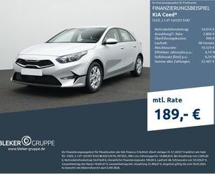 Kia ceed / Ceed Gebrauchtwagen