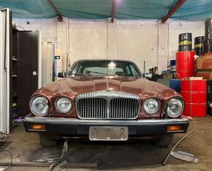 Jaguar Jaguar XJ12 DAIMLER DOUBLESIX 5.3 V12 79000KM Gebrauchtwagen