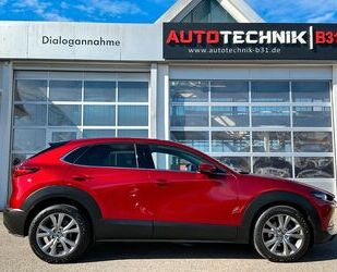 Mazda Mazda CX-30 AWD 2.0i Autm. Leder Navi Kamera Böse Gebrauchtwagen