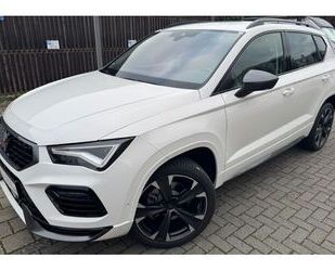 Cupra Cupra Ateca 1.5 TSI DSG /NAV/TOPVIEW/PAKETXL Gebrauchtwagen