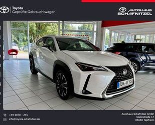 Lexus Lexus UX 250h Style Edition *Titaniumweiß*2023* Gebrauchtwagen