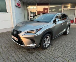 Lexus Lexus NX 300h E-FOUR Executive Line Gebrauchtwagen