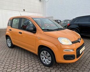 Fiat New Panda Gebrauchtwagen