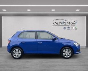 Skoda Skoda Fabia 1.0MPI *Cool Plus* Gebrauchtwagen