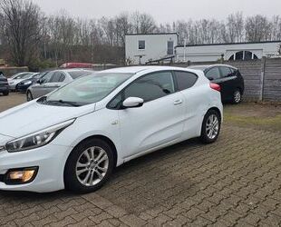 Kia Kia ProCeed Edition 7 Gebrauchtwagen