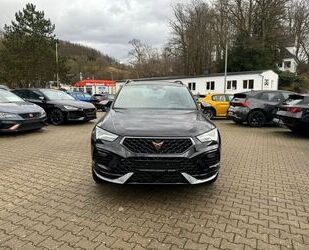 Cupra Cupra Ateca 4Drive 2.0 TSI EU6d elektr. Fahrersit Gebrauchtwagen