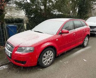 Audi Audi A3 1.6 FSI Sportback | 5-Türig, Klimaautomati Gebrauchtwagen