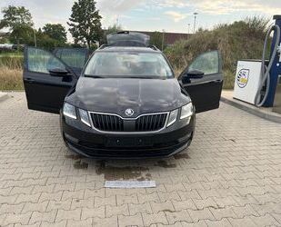 Skoda Skoda Octavia 2.0 TDI DSG Drive 150ps Gebrauchtwagen