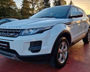 Land Rover Land Rover Range Rover 2.2 Ed 4 Evoque Pure Alca Gebrauchtwagen