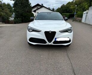 Alfa Romeo Alfa Romeo Stelvio 2.0 Turbo 16V 206kW Super AT8-Q Gebrauchtwagen