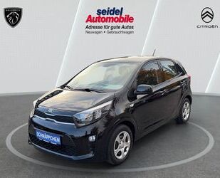 Kia Kia Picanto 1.2 Edition 7, 1.Hand, wenig KM, Klima Gebrauchtwagen