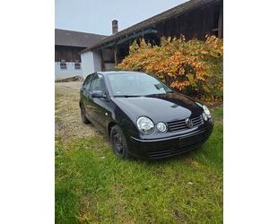 VW Volkswagen Polo 1.2 Gebrauchtwagen