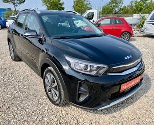 Kia Kia Stonic 1.0 Vision AAC SHZ GRA ALU DAB+ CARPLAY Gebrauchtwagen