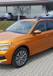 Skoda Skoda Kamiq 1.0 TSI DSG Tour PDC SITZH LMR 17