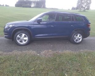 Skoda Skoda Kodiaq 2.0 TDI SCR DSG 4x4 AMBITION 150 PS, Gebrauchtwagen