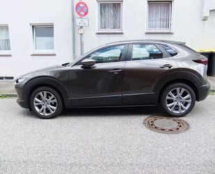 Mazda Mazda CX-30 2.0 e-SKYACTIV-X M-Hybrid Selection Se Gebrauchtwagen