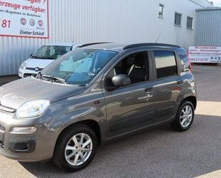 Fiat Fiat Panda Easy 1,2 69 PS Sitzheizung+beheizte WSS Gebrauchtwagen