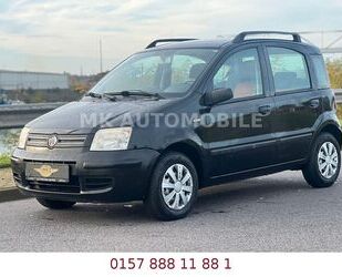 Fiat Fiat Panda 1.2 8V Dynamic/TÜV/KLIMA/SERVICE NEU/CI Gebrauchtwagen