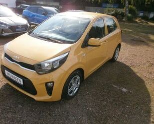 Kia Kia Picanto 1.0 Allwetterber. Klima*DAB-Radio*,TOP Gebrauchtwagen