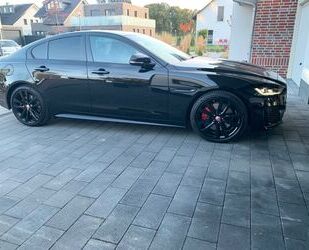 Jaguar Jaguar XE P250 R-DYNAMIC SE Black Pack ACC Gebrauchtwagen