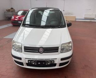 Fiat Fiat Panda 1.2, 1.Hand, Panoramadach Gebrauchtwagen