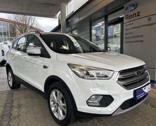 Ford Ford Kuga 1.5 EcoBoost 2x4 Titanium, Winter-Paket Gebrauchtwagen