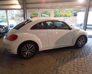 VW Volkswagen Beetle Lim. Allstar 2017 Kamera NAVI PD Gebrauchtwagen