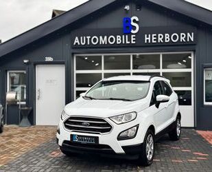 Ford Ford EcoSport Cool & Connect/Navi/CarPlay/Lenkradh Gebrauchtwagen