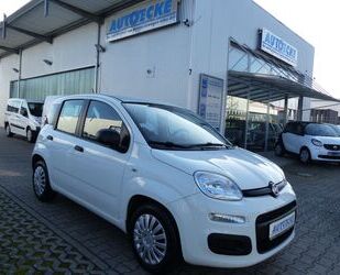 Fiat Panda Gebrauchtwagen