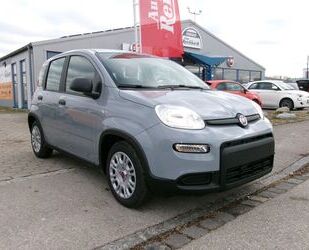 Fiat Fiat Panda Hybrid 1.0 Komfortpaket Gebrauchtwagen