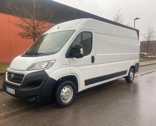 Fiat Fiat Ducato L4 H2 2,3 132 PS Gebrauchtwagen