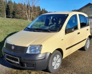 Fiat Fiat Panda 1.1 - TÜV/AU 03/25 - guter Zustand Gebrauchtwagen