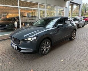 Mazda Mazda CX-30 2.5L e-SKYACTIV-G 140ps Exclusive Gebrauchtwagen